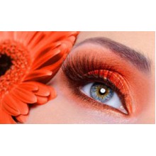 Окрашивание ресниц и бровей