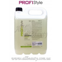 PROFIStyle - Шампунь очищающий с провитамином В5 5000мл